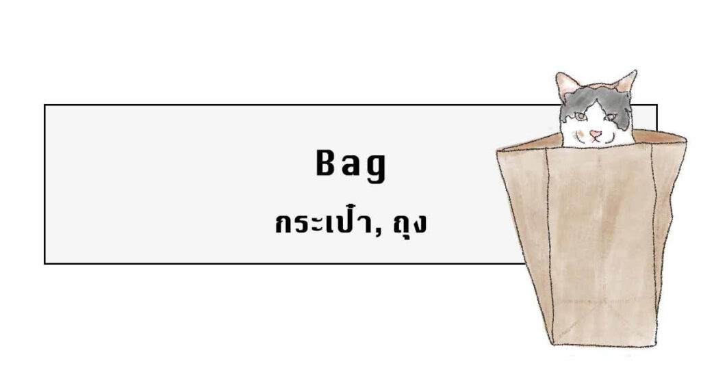 Bag in Thai