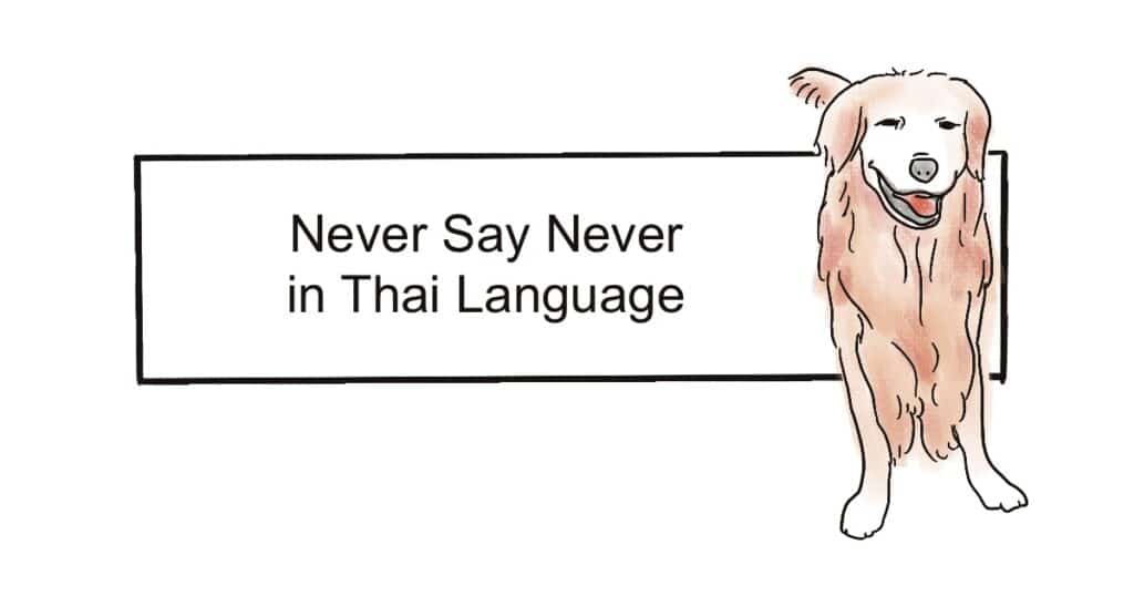free thai lesson