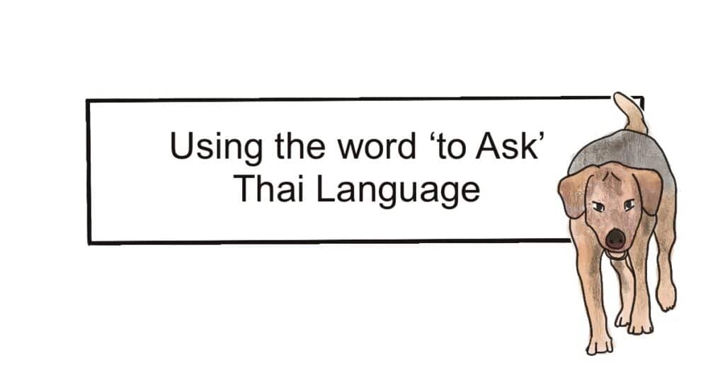 ask ถาม ขอ Thai