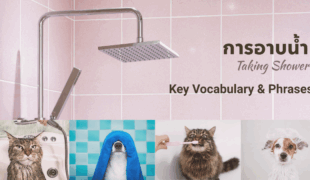 Shower in Thai: Key Phrases for Learners