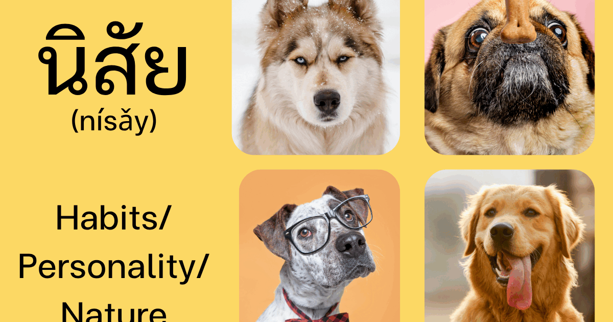Understanding the Word “นิสัย (nísǎy)” —Character, Habits in Thai