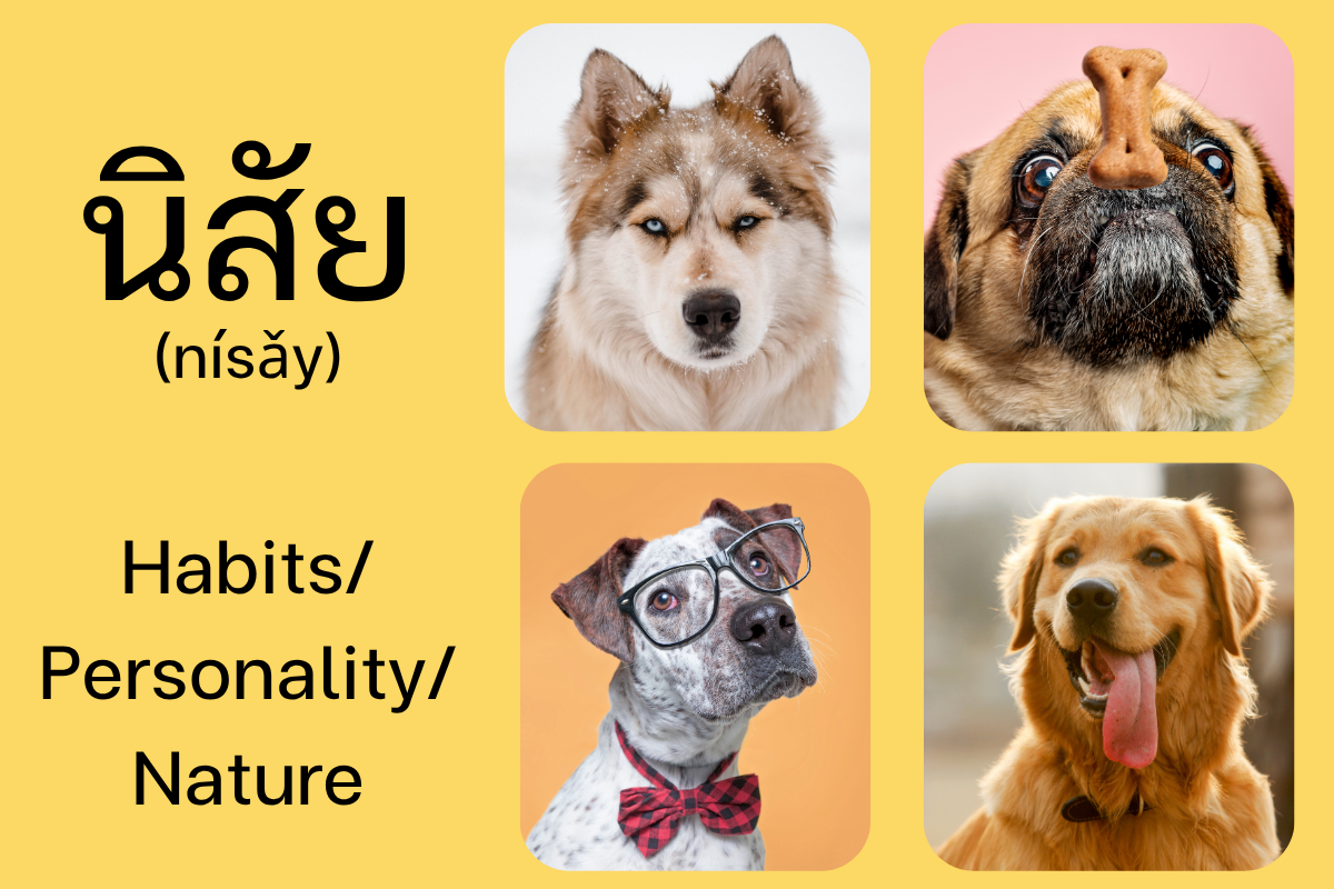 Habits in Thai