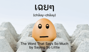 ‘เฉยๆ (chə̌əy-chə̌əy)’– So-so in Thai